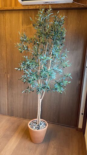 オリーブの人工観葉植物