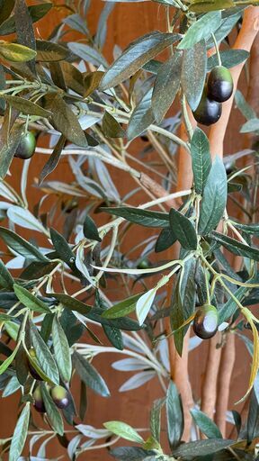 オリーブの人工観葉植物