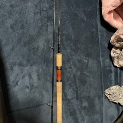 shimano カーディフnx s77L