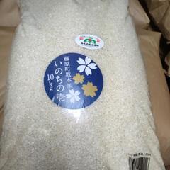 大粒のお米いのちの壱です。