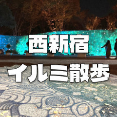 【写真目的OK】西新宿と新宿中央公園の紅葉＆ライトアップ巡り♪