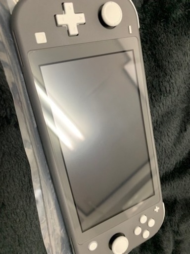 ニンテンドースイッチLite 本体  ブラック 付属品ケース込み