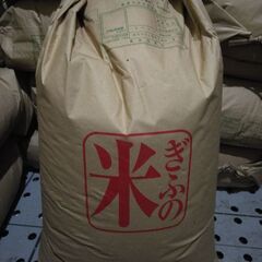 【古米】岐阜県産ハツシモ30kg+α‬