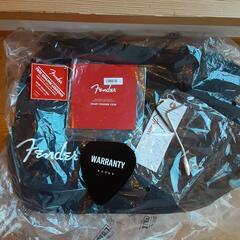 Fender ストラトキャスター made in Mexico