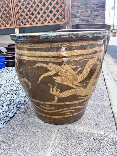 植物鉢
