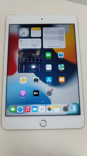 【SIMロック解除済】iPad mini 4 MNWG2J/A (A1550) 32GB
