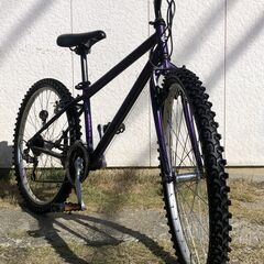 GIANT MTB Rook4000 26インチ 21段変速