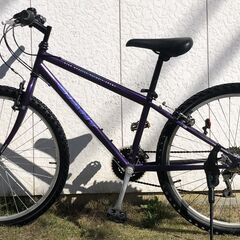 GIANT MTB Rook4000 26インチ 21段変速