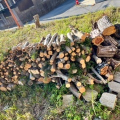薪用の木材ゆずります。千葉県茂原市