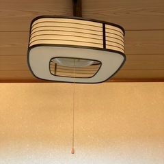 和風　電気セット　２つセット