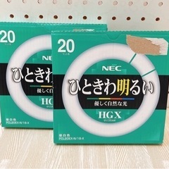 NECひときわ明るい ２０ワット