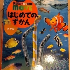 魚図鑑DVD付き