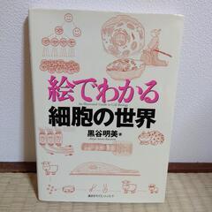 【中古】 絵でわかる細胞の世界 / 黒谷 明美 / 講談社