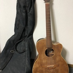 エレアコ　takamine EAN-70c