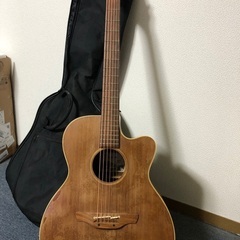 エレアコ　takamine EAN-70c(ソフトケース付)