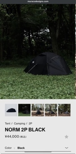 ☆利用回数1回☆NORM 2P BLACK 清掃済み BEAK 