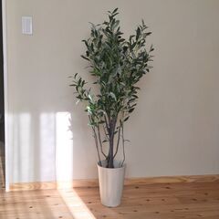 人工観葉植物 オリーブの木 (フェイクグリーン) インテリア雑貨