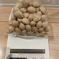 銀杏約200g