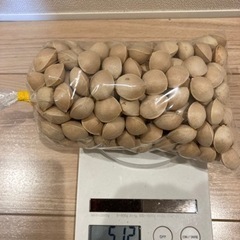 銀杏約500g