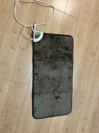 美品❗️足元用ホットカーペット(ニトリ)