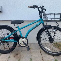 自転車（小学校の男の子）