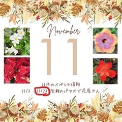 11月23日勤労感謝の日　泡瀬のパヤオ　花とテナガエビ販売