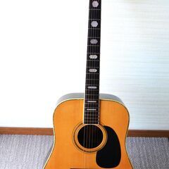 Nashville ナッシュビル N25 M series Ja...