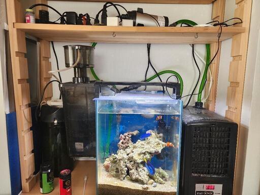 余った水槽用品（本文に明細を載せています）