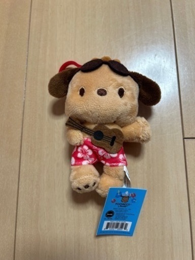 新品未使用 日焼けポチャッコ ハワイ ABCストア ABCストアで買った日焼けポチャッコ😂💖 . . . #ハワイ#ハワイ