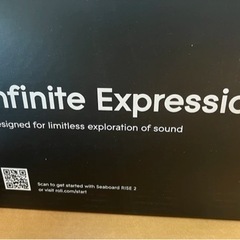 【超希少！】日本では未販売のSeaboard Rise 2！！！