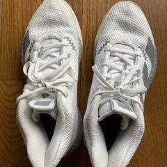 adidas　バスケシューズ　23.5