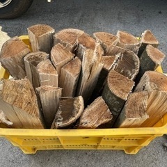 薪　樫の木　