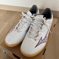 【成約済】（練習用に）フットサルシューズ24cm　MIZUNO α