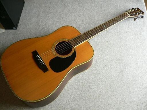 ＊TFシリーズ「Morris W-50」　単板トップ （訳あり）