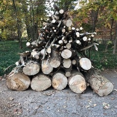 薪　暖炉　ストーブ　広葉樹