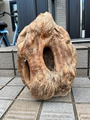 木の根　オブジェ