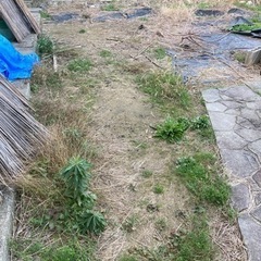 家のまわりの草むしり - 助け合い
