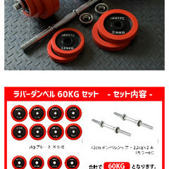 IROTEC(アイロテック) ラバー ダンベル 60KG セット （片手30KG×2個）