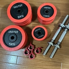 IROTEC(アイロテック) ラバー ダンベル 60KG セット （片手30KG
