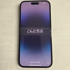 【ネット決済・配送可】iPhone 14 Pro Max スペー...