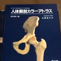 【ネット決済・配送可】人体解剖カラーアトラス改訂第2版