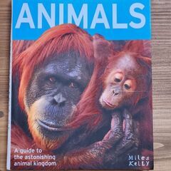 Encyclopedia of animals