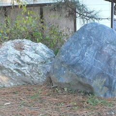 庭石　各種　ばら売り可