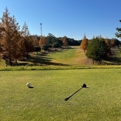 ⛳️ゴルフ仲間募集⛳️