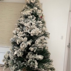 クリスマスツリー！！！