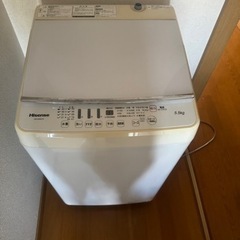 洗濯機 5.5kg hisence