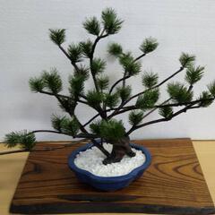 《12月28日終了》《最終値下げ》松の盆栽　天然木／造花／フェイ...