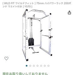 ウエイトトレーニングラック  ワイルドフィット 75mm ハイパ...