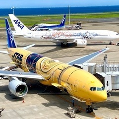 飛行機好き❗️羽田空港や成田空港、航空祭などで集まって楽しい時間...