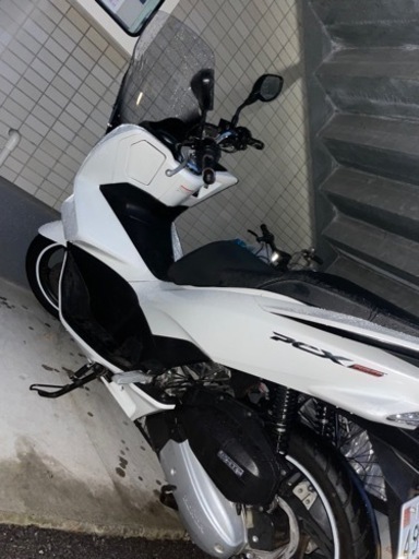 ホンダ pcx 56
